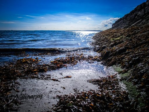 Shoreline with seaweed, glistening water, and rocky cliffs under a bright blue sky.