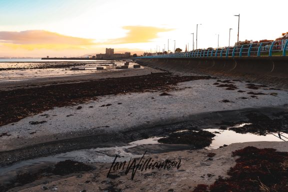Coastal scene at low tide with seaweed and a sunset in the background.