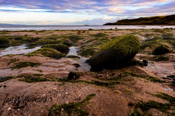 Rock covered in moss on a sandy shore with a tranquil sea and cloudy sky in the background.