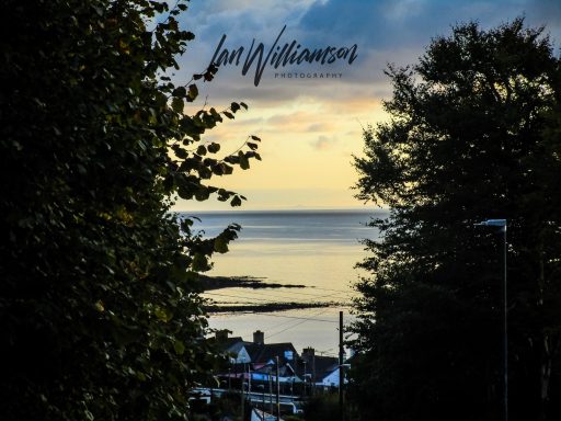 Scenic view of a coastline at sunset, framed by trees and clouds.