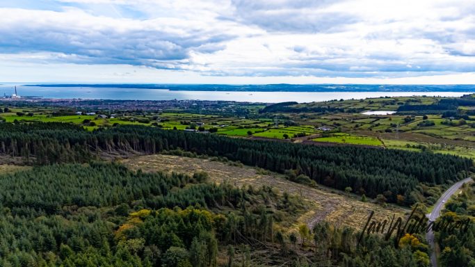 Aerial view of lush green forests meeting a serene coastal landscape under a cloudy sky.