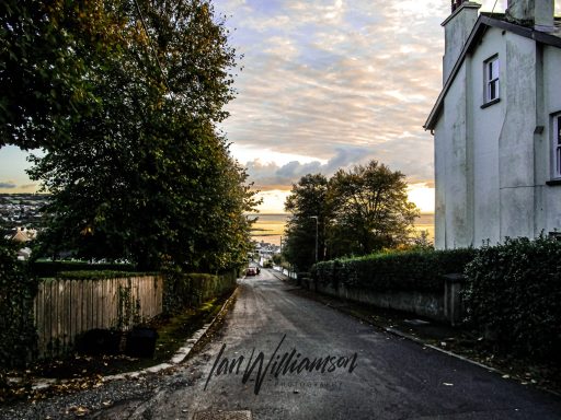 Quiet street with trees and a house, under a cloudy sky at sunset.