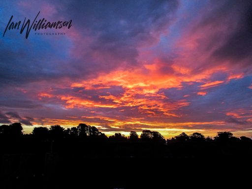 Vibrant sunset sky with orange, pink, and purple hues, silhouetted trees in the foreground.